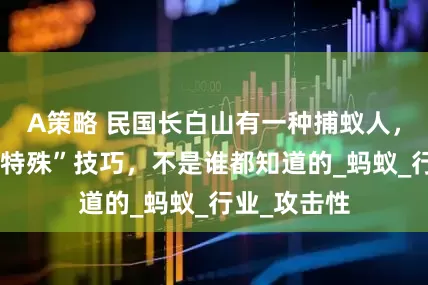 A策略 民国长白山有一种捕蚁人，捕蚁有个“特殊”技巧，不是谁都知道的_蚂蚁_行业_攻击性