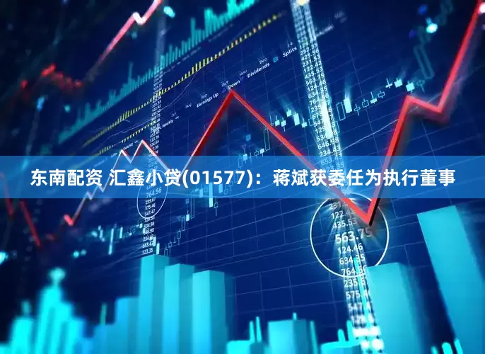 东南配资 汇鑫小贷(01577)：蒋斌获委任为执行董事