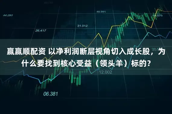 赢赢顺配资 以净利润断层视角切入成长股，为什么要找到核心受益（领头羊）标的？