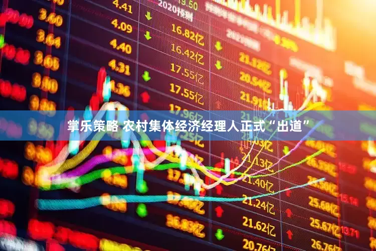 掌乐策略 农村集体经济经理人正式“出道”
