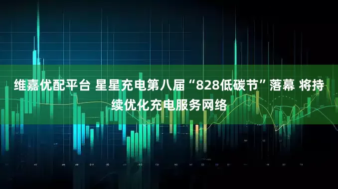维嘉优配平台 星星充电第八届“828低碳节”落幕 将持续优化充电服务网络
