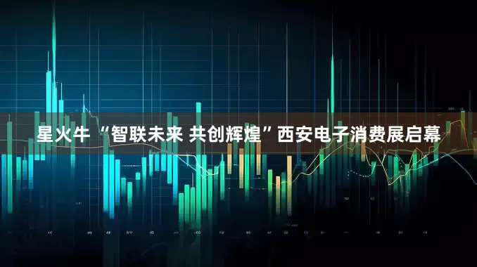 星火牛 “智联未来 共创辉煌”西安电子消费展启幕