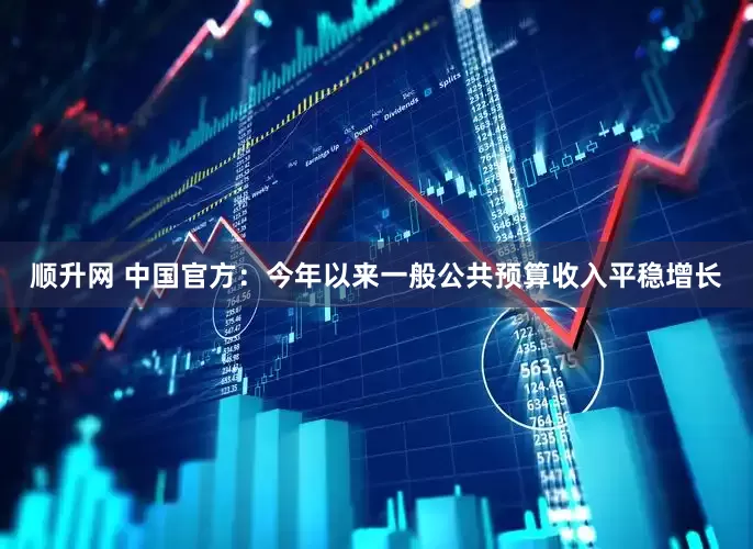 顺升网 中国官方：今年以来一般公共预算收入平稳增长